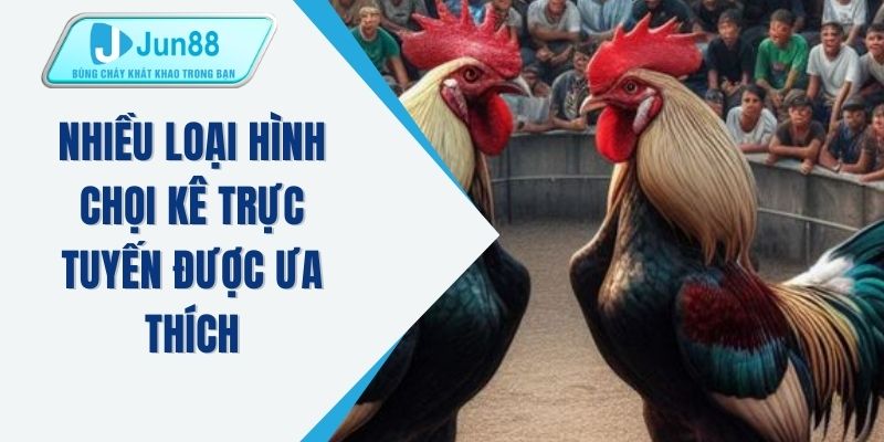 Nhiều loại hình chọi kê trực tuyến được ưa thích